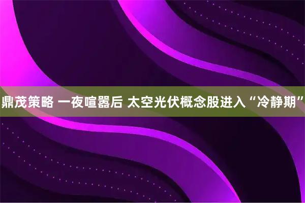 鼎茂策略 一夜喧嚣后 太空光伏概念股进入“冷静期”