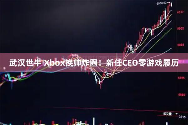 武汉世牛 Xbox换帅炸圈！新任CEO零游戏履历